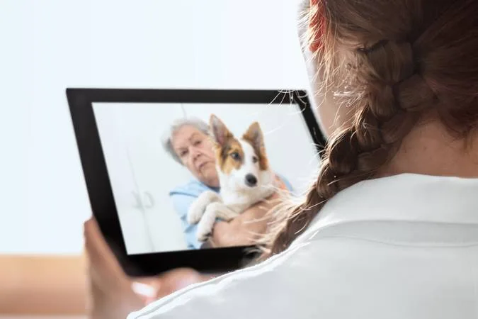 Visão por cima do ombro de uma veterinária segurando um tablet mostrando uma mulher idosa segurando um cachorro durante uma consulta online.
